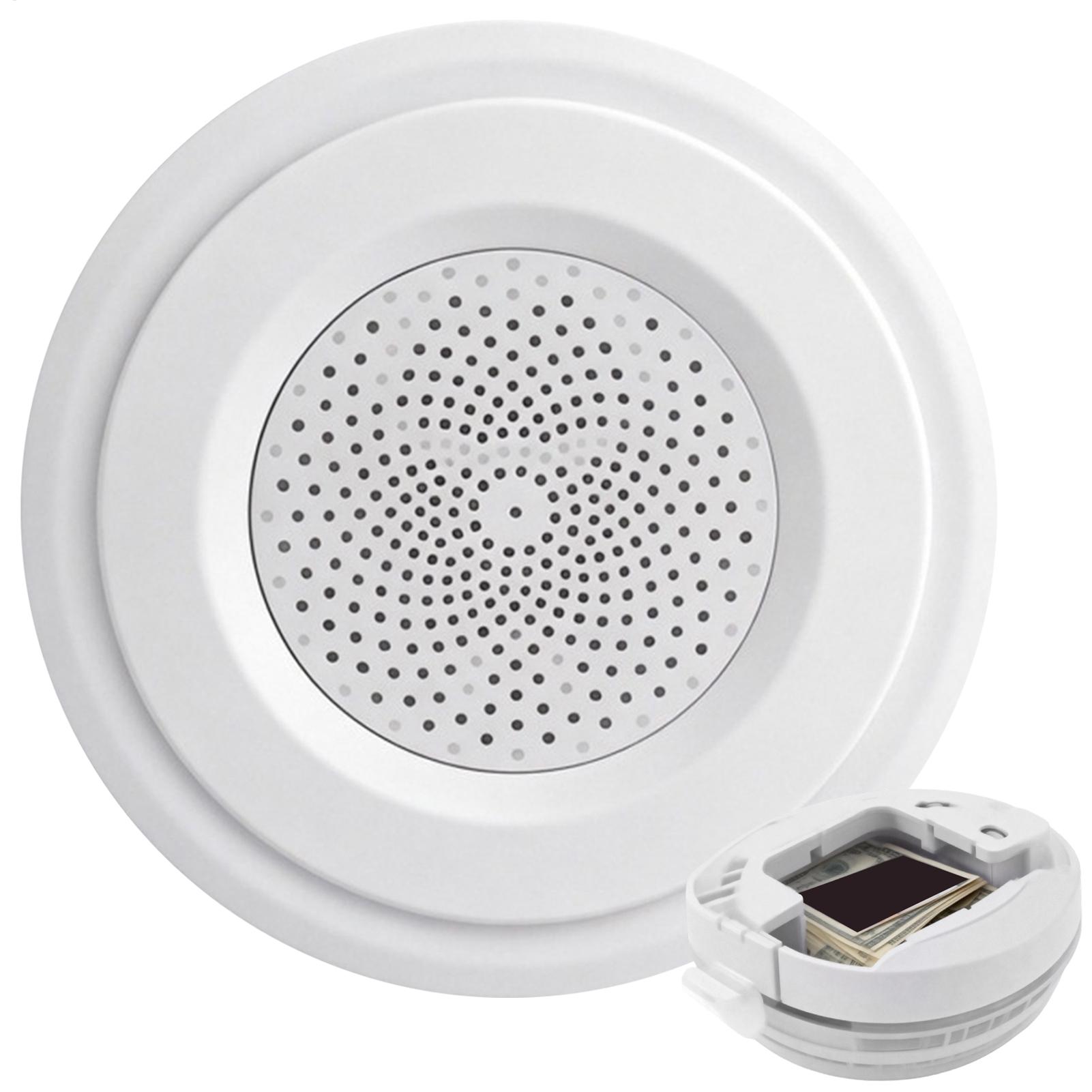 Home Security Ring - Contenitori Segreti per Nascondere Denaro, Scomparto