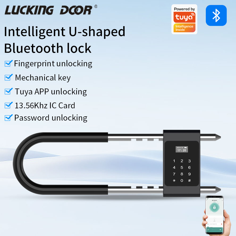 Home Security Electronics - Serratura Elettronica Biometrica con Impronta Digitale,