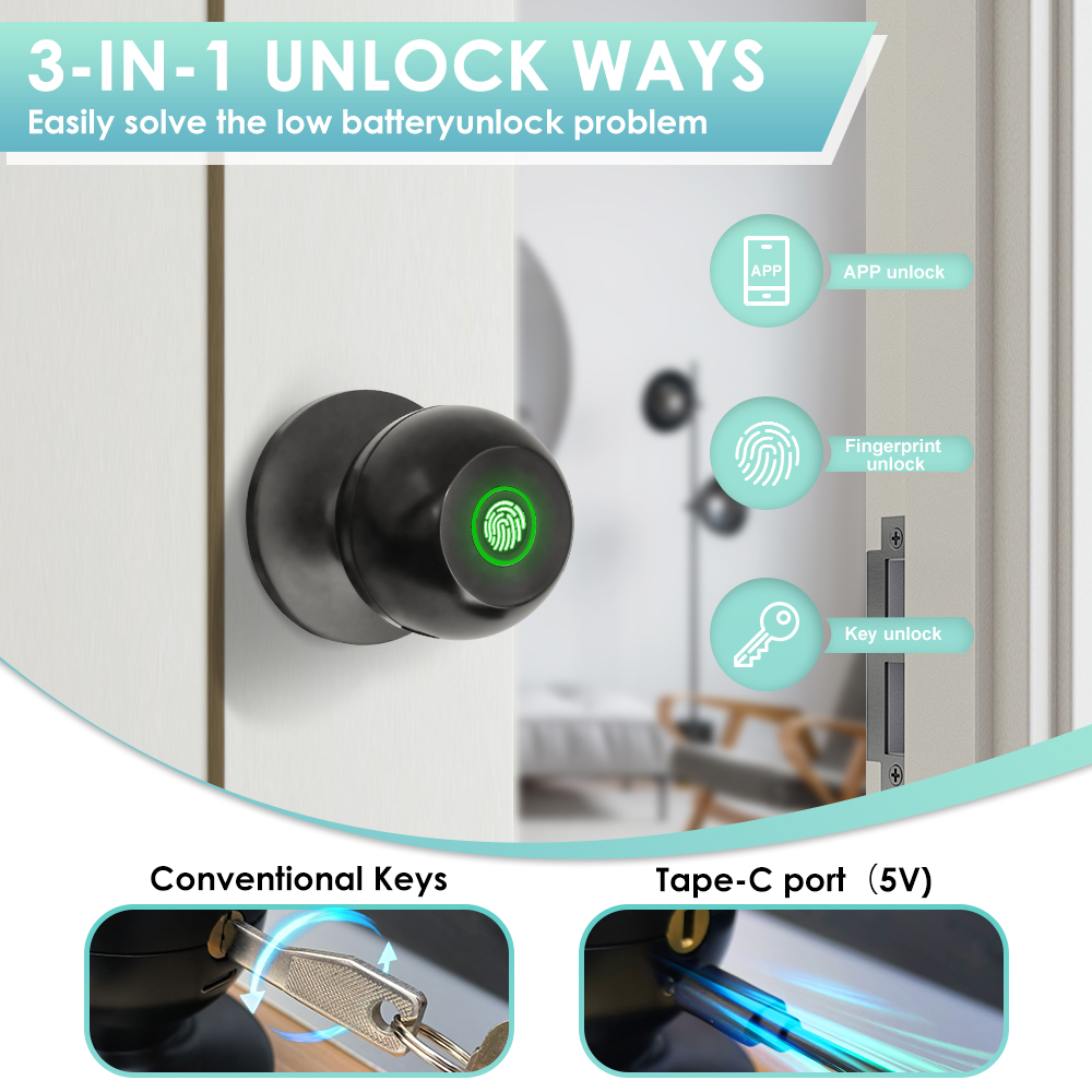 Tuya Serratura elettronica Ser - Home Security For Apartments recensione e prezzo