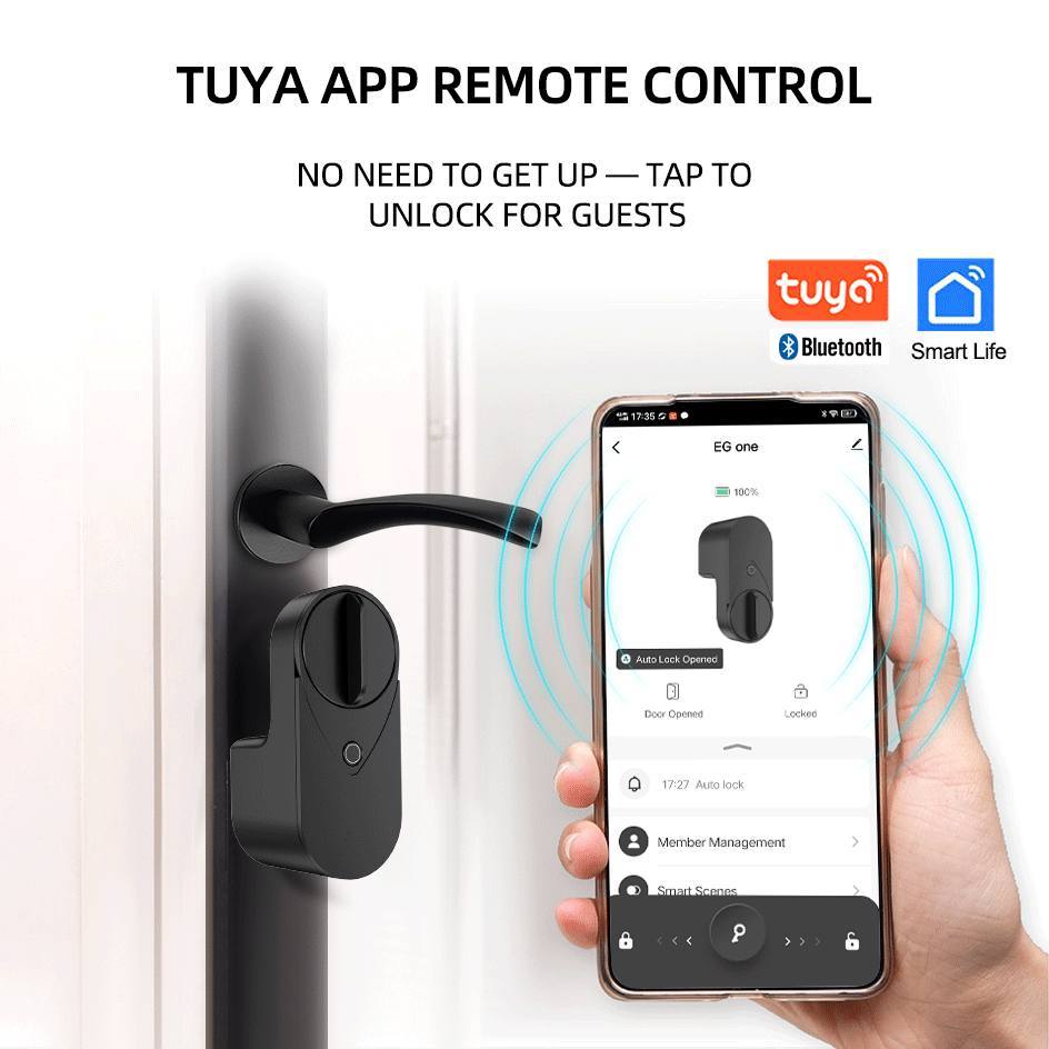 RAYKUBE EG One Tuya BLE Smart  - Home Security For Apartments recensione e prezzo